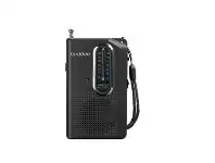 BIG W Buddee Mini Pocket Portable AM/FM Radio offer