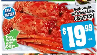 Farmer Jack's Fresh Caught WA Cooked Large Crayfish offer