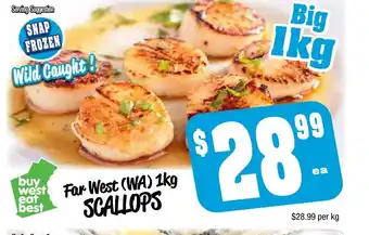 Far West (WA) 1kg Scallops