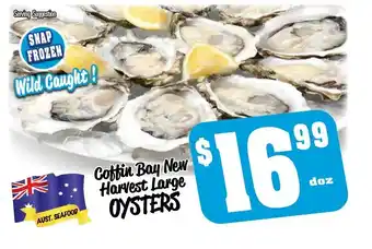 Coffin Bay New Harvest Large Oysters
