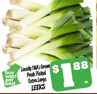 Farmer Jack's Locally (WA) Grown Fresh Picked Extra Large Leeks offer