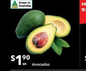 Avocados