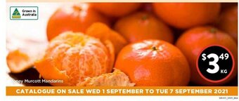 Foodworks Honey Murcott Mandarins offer