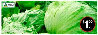 Foodworks Crisp Iceberg Lettuce offer