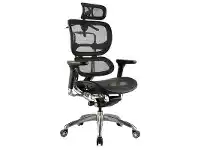 LivingStyles Ergo Fabric Executive Office Chair with Headrest offer