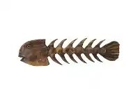 LivingStyles Elmi Wooden Fish Hanging Wall Decor offer
