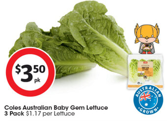 Coles Coles Australian Baby Gem Lettuce 3 Pack offer