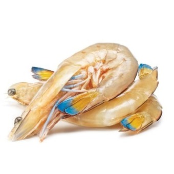 Woolworths Thawed large australian green king prawns offer