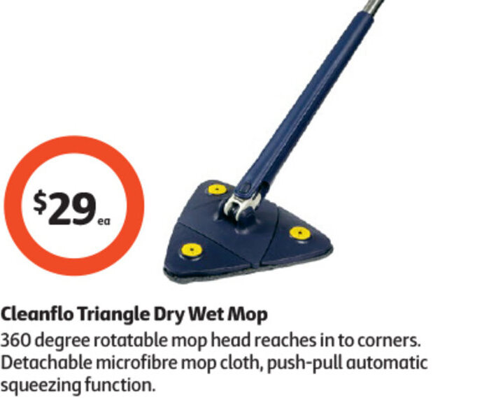 Cleanflo Triangle Dry Wet Mop offer at Coles