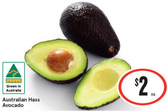 IGA Australian Hass Avocado offer