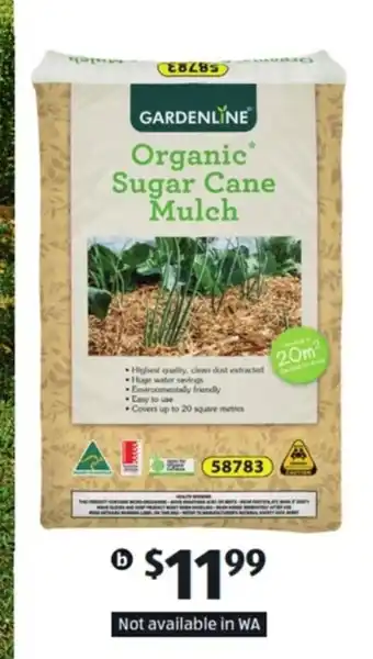 Organic Sugar Can Mulch - 58783