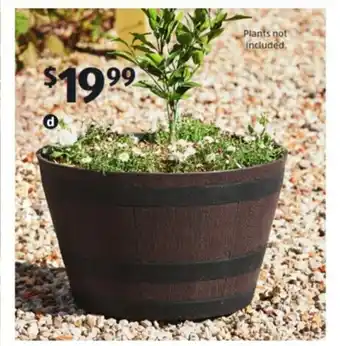 ALDI Whiskey Barrel Planter - 702300 offer
