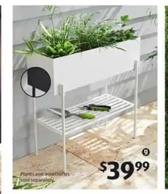 ALDI Metal Planter Assortment - 706468 offer