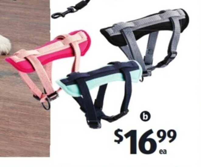 Dog Harness offer at ALDI