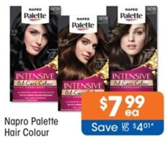 Good Price Pharmacy Napro Palette Hair Colour offer