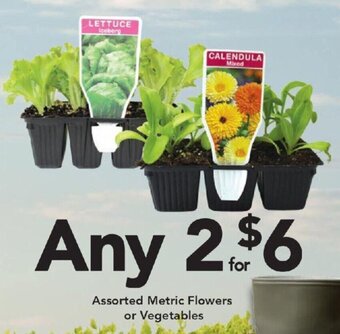 Drakes Assorted Metric Flowers or Vegetables offer