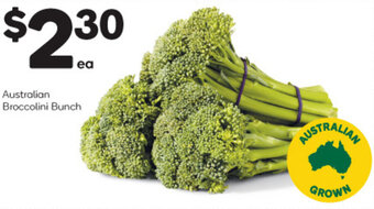 Australian Broccolini Bunch