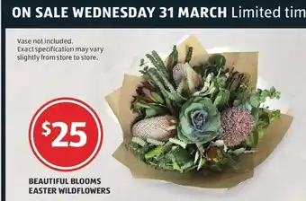ALDI Beautiful Blooms Easter Wildflowers offer