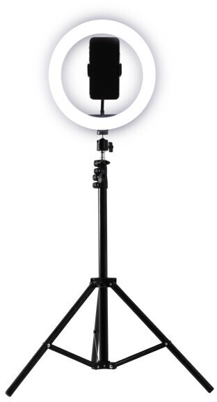 BIG W Techxtras 10-inch white ring light kit offer