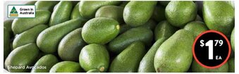 Foodworks Shepard Avocados offer