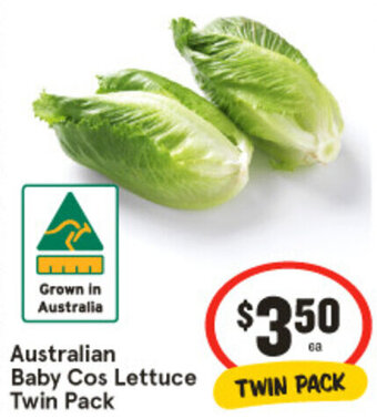 IGA Australian Baby Cos Lettuce Twin Pack offer