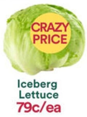 Iceberg Lettuce
