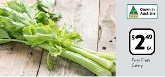 Foodworks Farm Fresh Celery offer