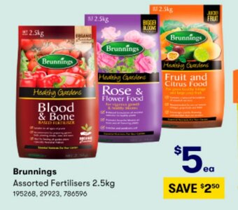 BIG W Brunnings offer