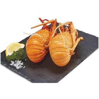 Thawed cooked wa rock lobster