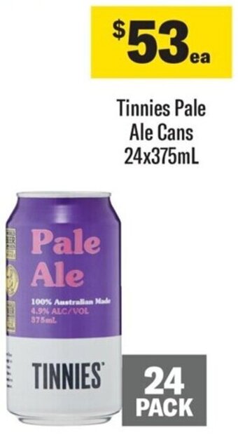 Coles Tinnies Pale Ale Cans 24x375mL offer