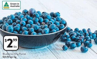 Blueberries 125g Punnet