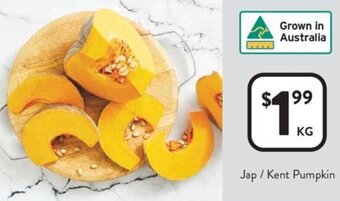 Jap / Kent Pumpkin