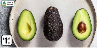 Foodworks Hass Avocado offer
