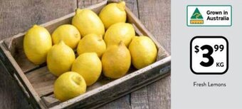 Fresh Lemons