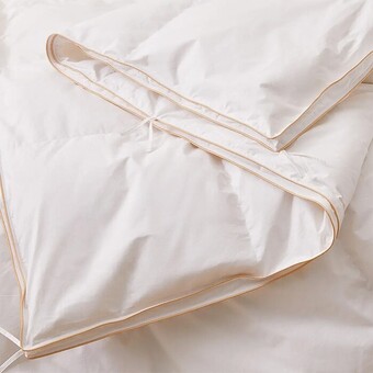 Bed Bath N' Table Luxury goose quilt offer