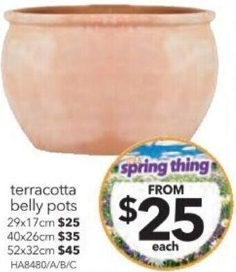 Cheap as Chips terracotta belly pots 29x17cm offer