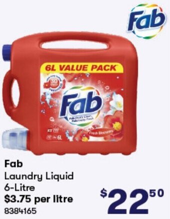 BIG W Fab Laundry Liquid 6-Litre offer