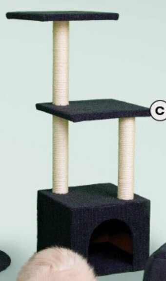 BIG W Cat Scratching Playhouse offer