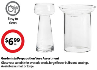 Coles Gardenista Propagation Vase Assortment offer