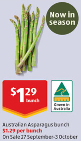 Australian Asparagus bunch