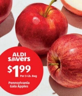 Pennsylvania Gala Apples