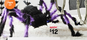 Kmart spider offer