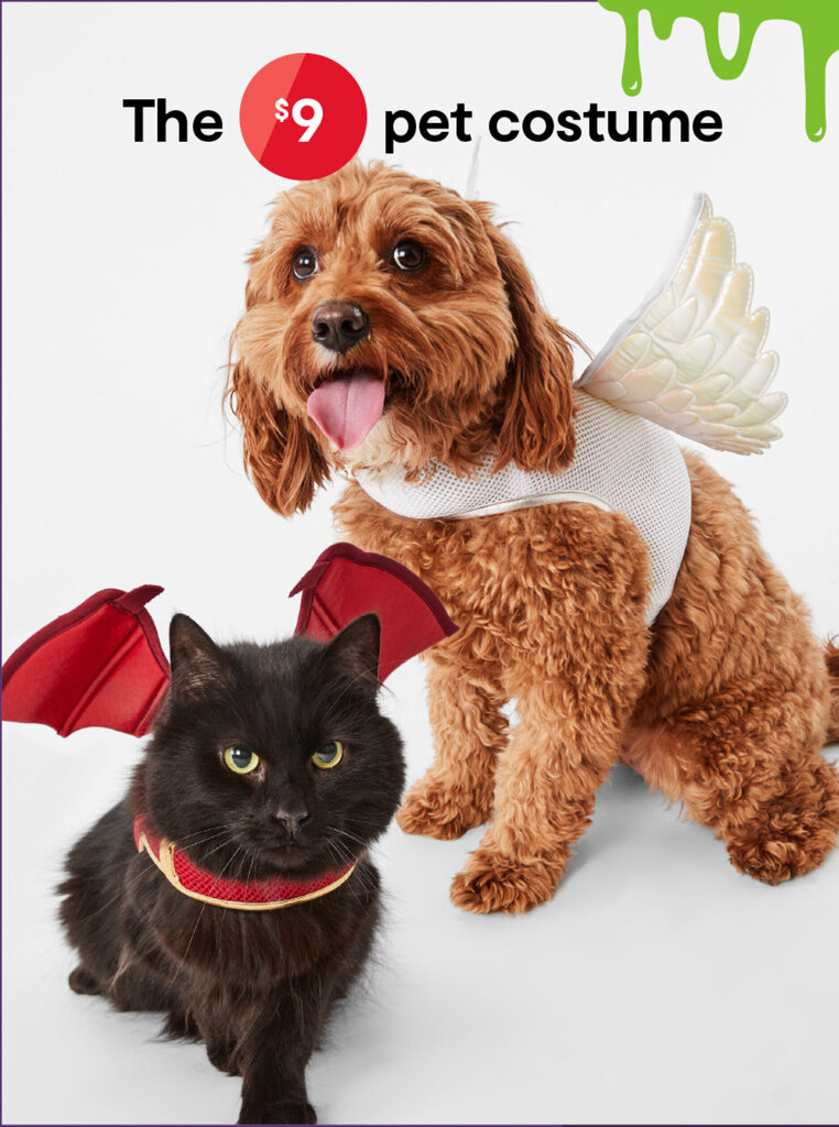 The pet costume offer at Kmart