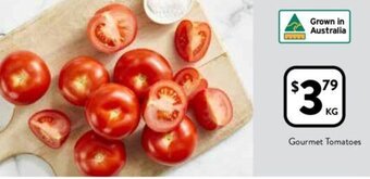 Gourmet Tomatoes