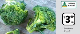 Foodworks Farm Fresh Broccoli offer