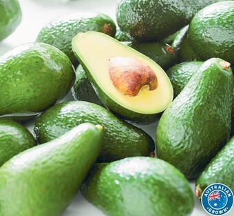 Australian Shepard Avocados