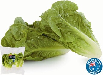 Coles Coles Australian Baby Cos Lettuce 2 Pack offer