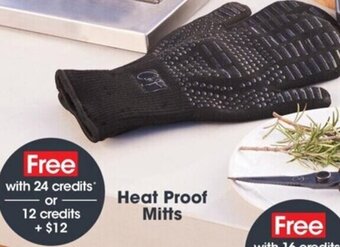 Coles Heat Proof Mitts offer