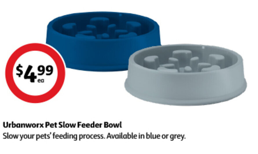 Urbanworx Pet Slow Feeder Bowl offer at Coles