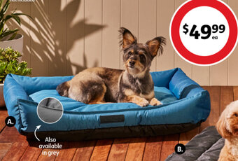 Coles A. Pet Nation Water Resistant Rectangular Pet Bed offer